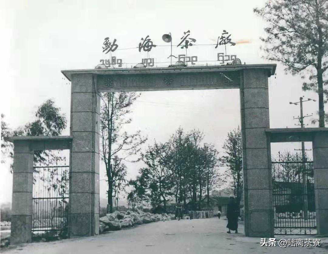 99易昌号：牵引四方各诸侯，引动普洱大时代