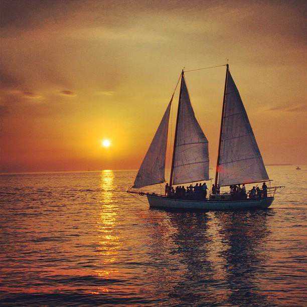 茶凉了就别再续了，人走了就别再留了