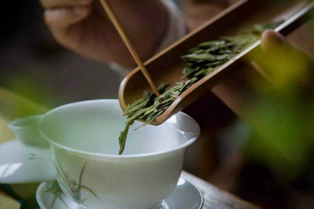 用什么水温泡绿茶最好？