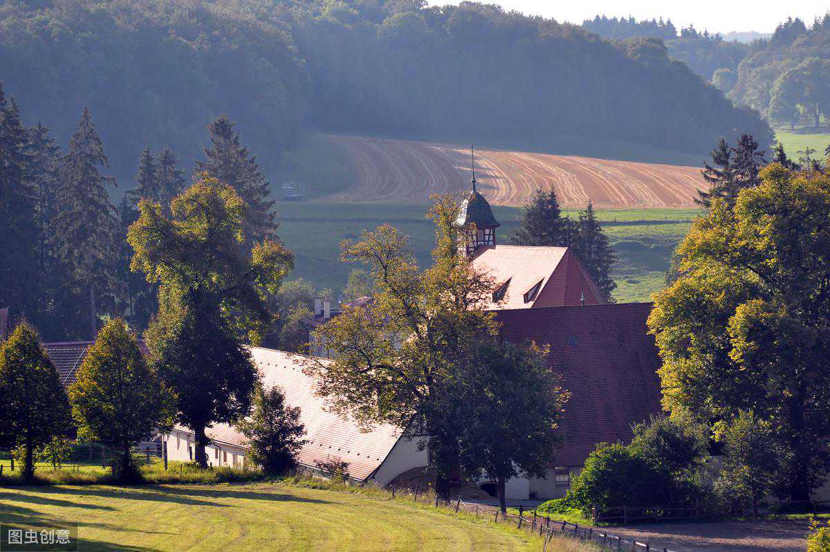 一天之中，最适合饮茶的时间是什么时候？