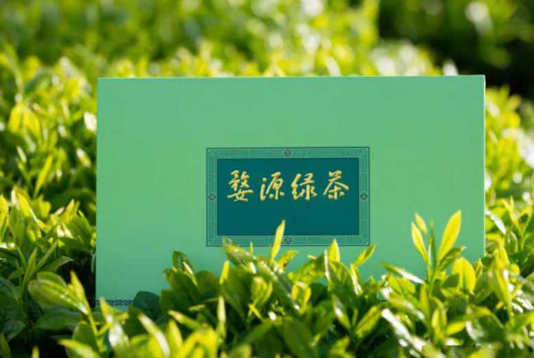 一起学绿茶：婺源绿茶