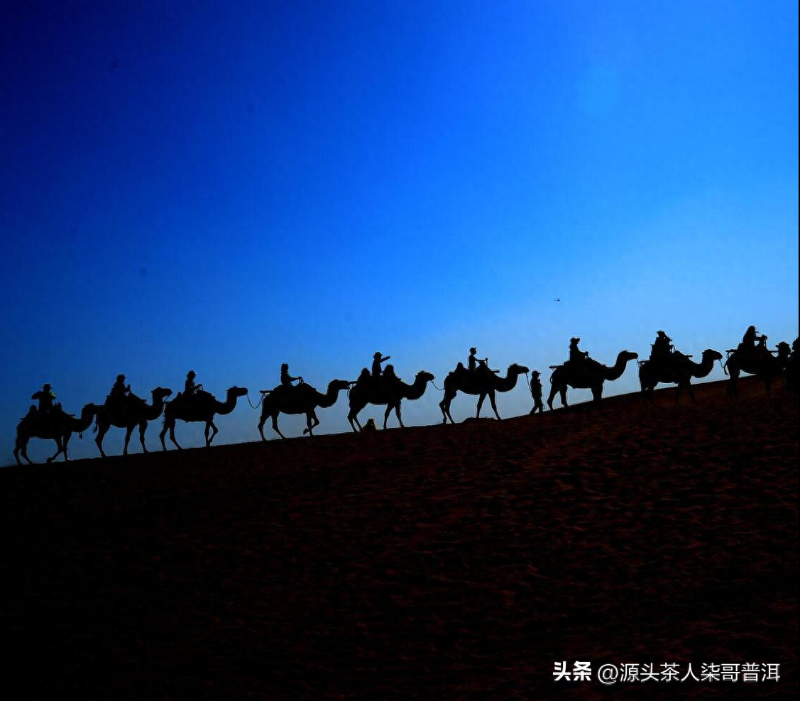 对于普洱茶的深层思考，中国农业和商业的希望和挑战