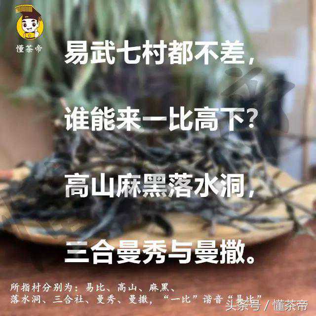 不止普洱，这些地方也产普洱茶！