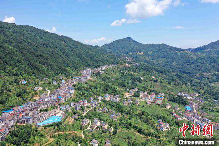 “三峡茶旅小镇”：农文旅融合助推乡村振兴