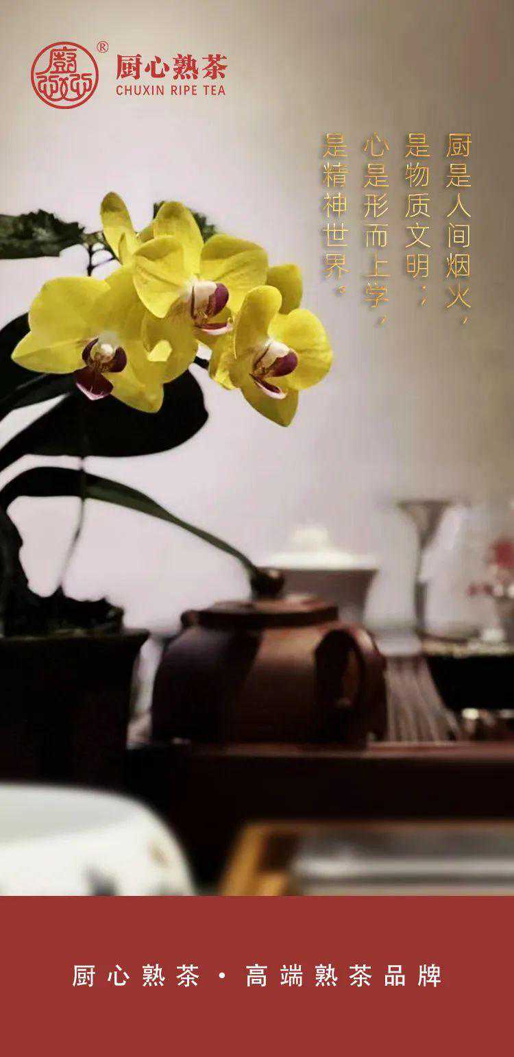 ​厨心熟茶，调和身心，悦享美好生活