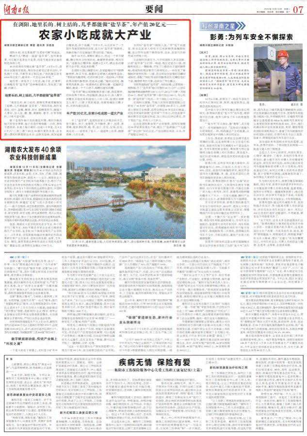 湖南日报丨浏阳一道道“盐旱茶”，农家小吃成就大产业