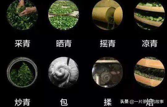 如何正确区分：清香型、浓香型铁观音？