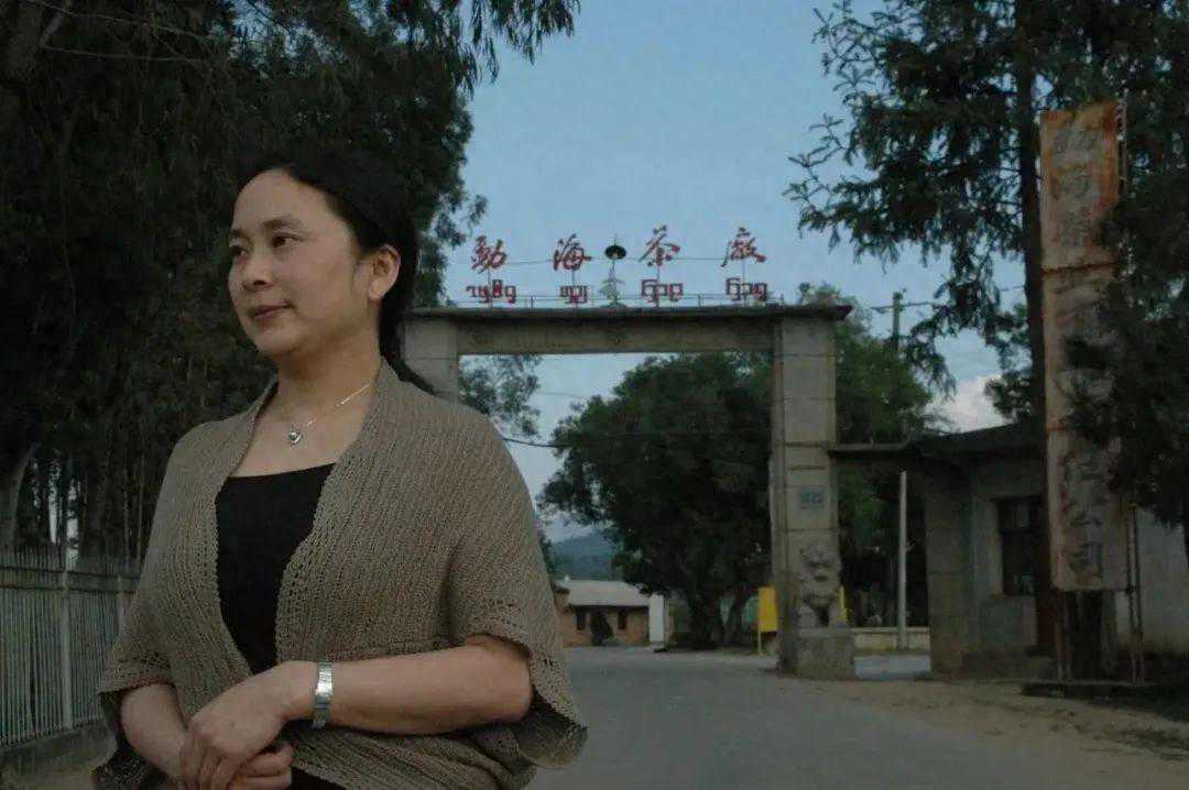 傣文青以符号神话开启普洱茶年份溯源