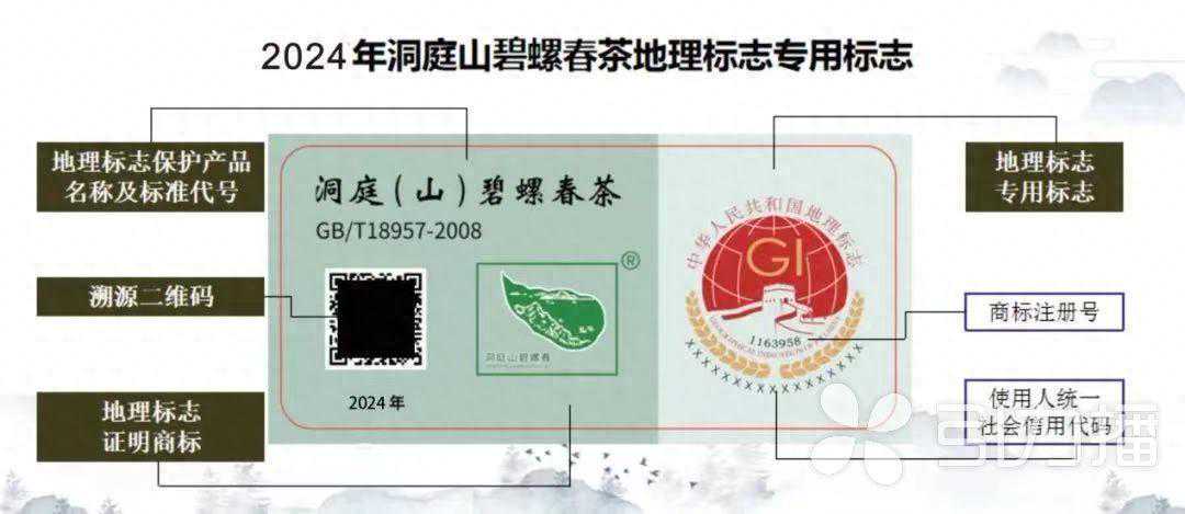 买正宗“碧螺春” 先收藏这份指南！