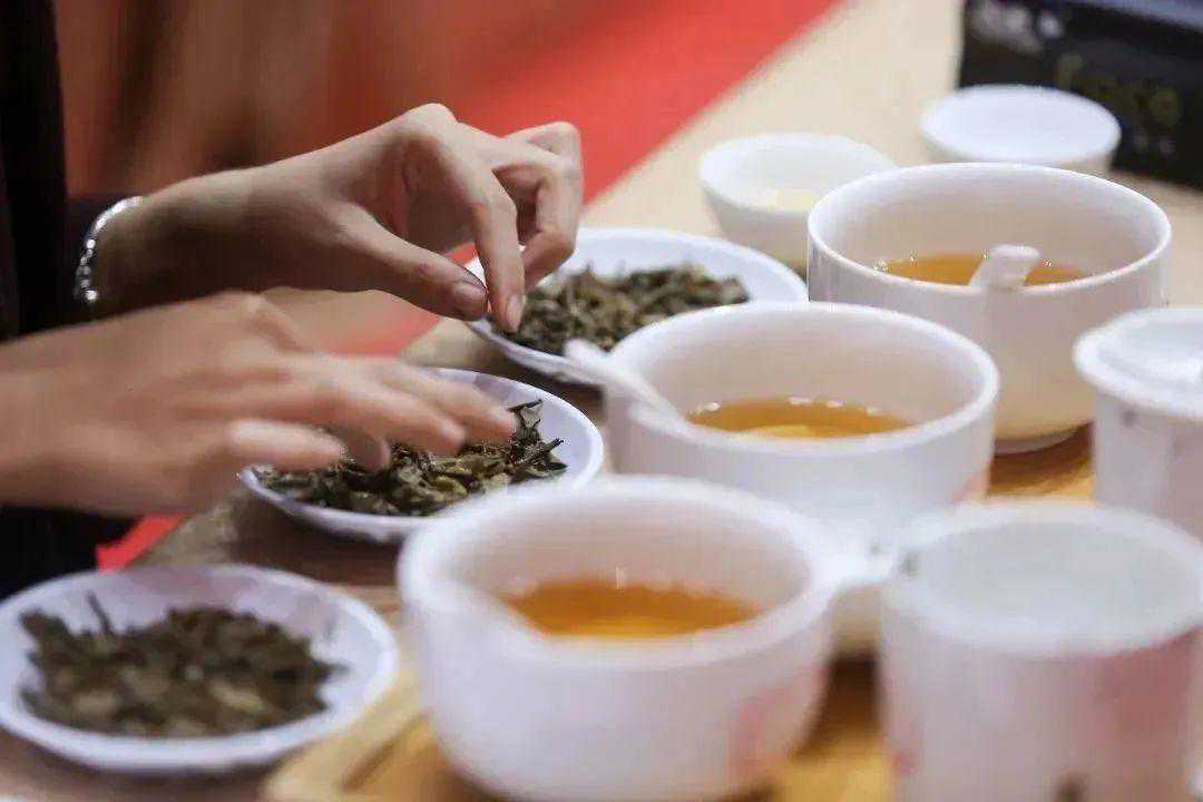 10万茶人追捧的“大益论茶”究竟在论什么？