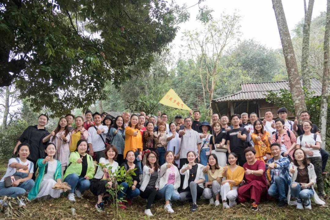 系统解码，斗记带你普洱茶世界深度游