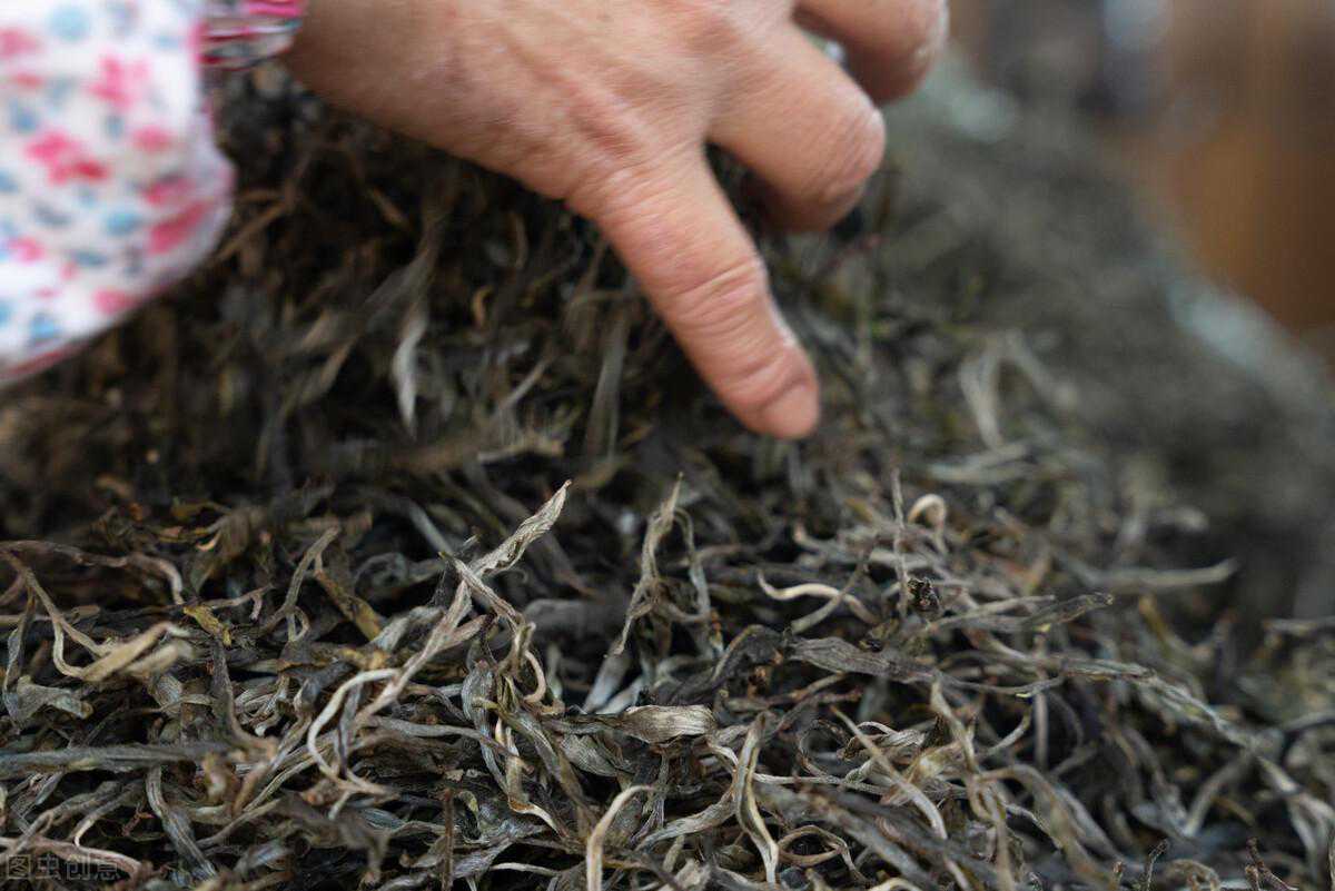 六个普洱茶错误认识，来看看你信了几个？