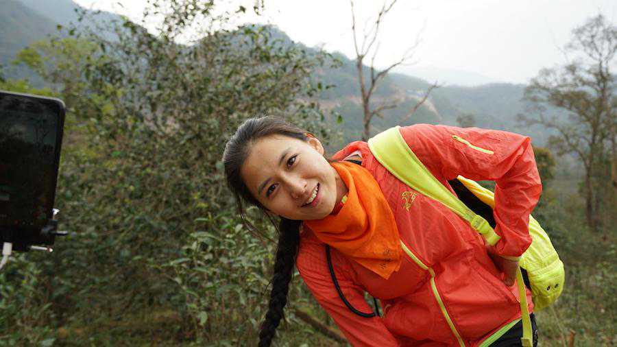 古树普洱茶到底好在哪里？为什么这么贵？