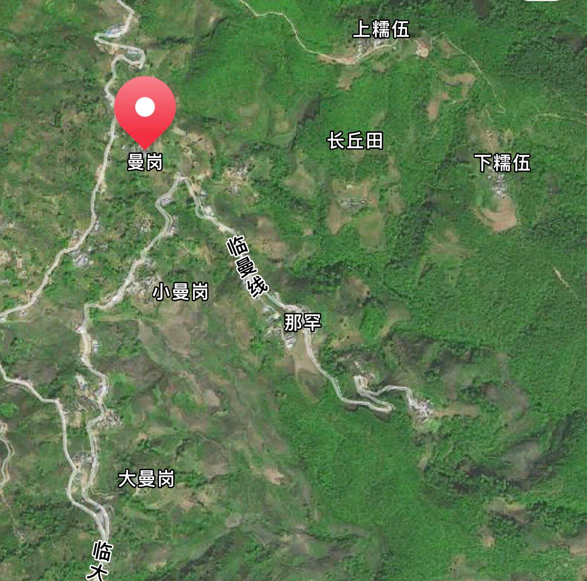 邦东三杰——曼岗古树普洱茶