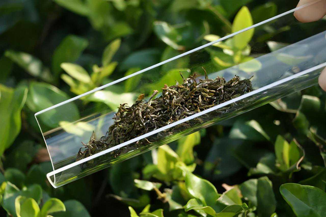 泡茶的4个基本要义，你掌握了多少？