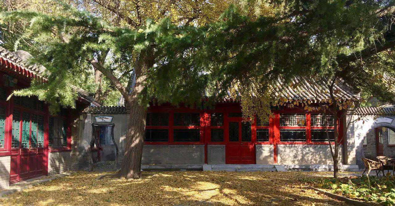 声名显赫的冰岛茶，做成红茶什么味儿？