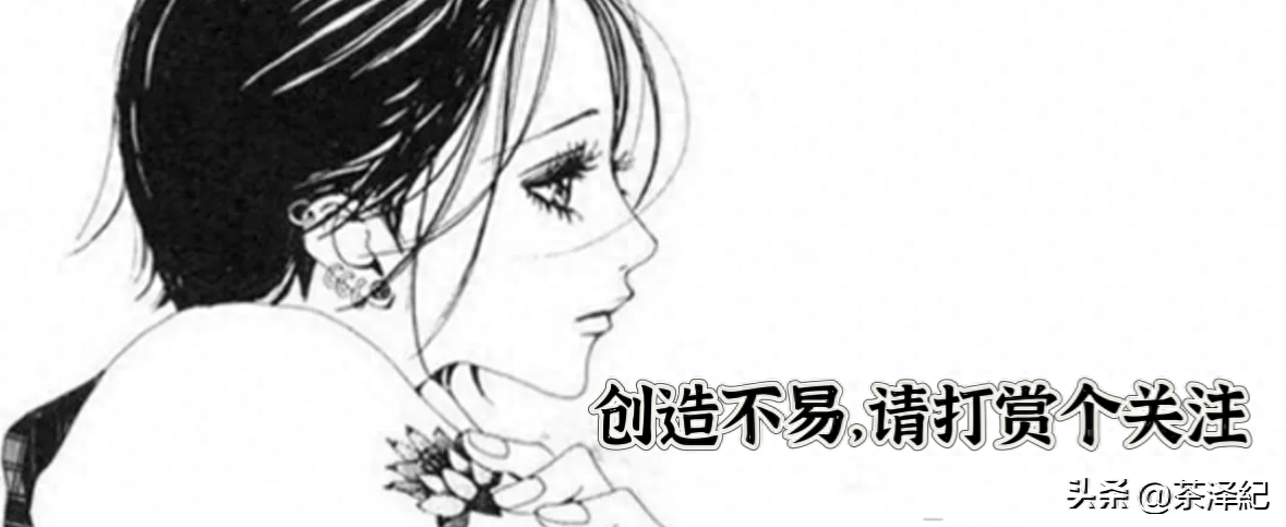 茶文化西双版纳勐海茶区普洱茶六大山头