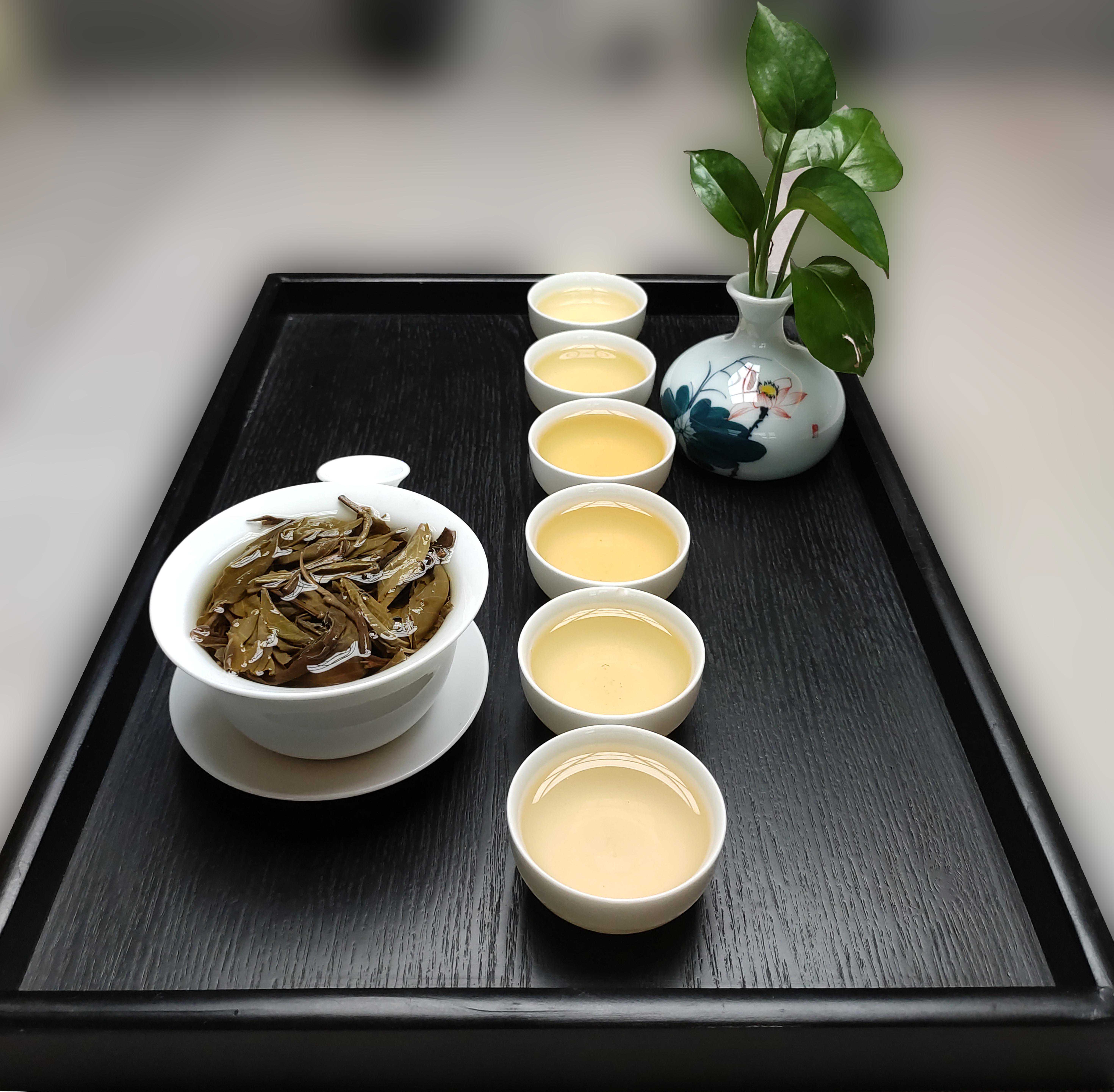 普洱茶品鉴之“懂过”