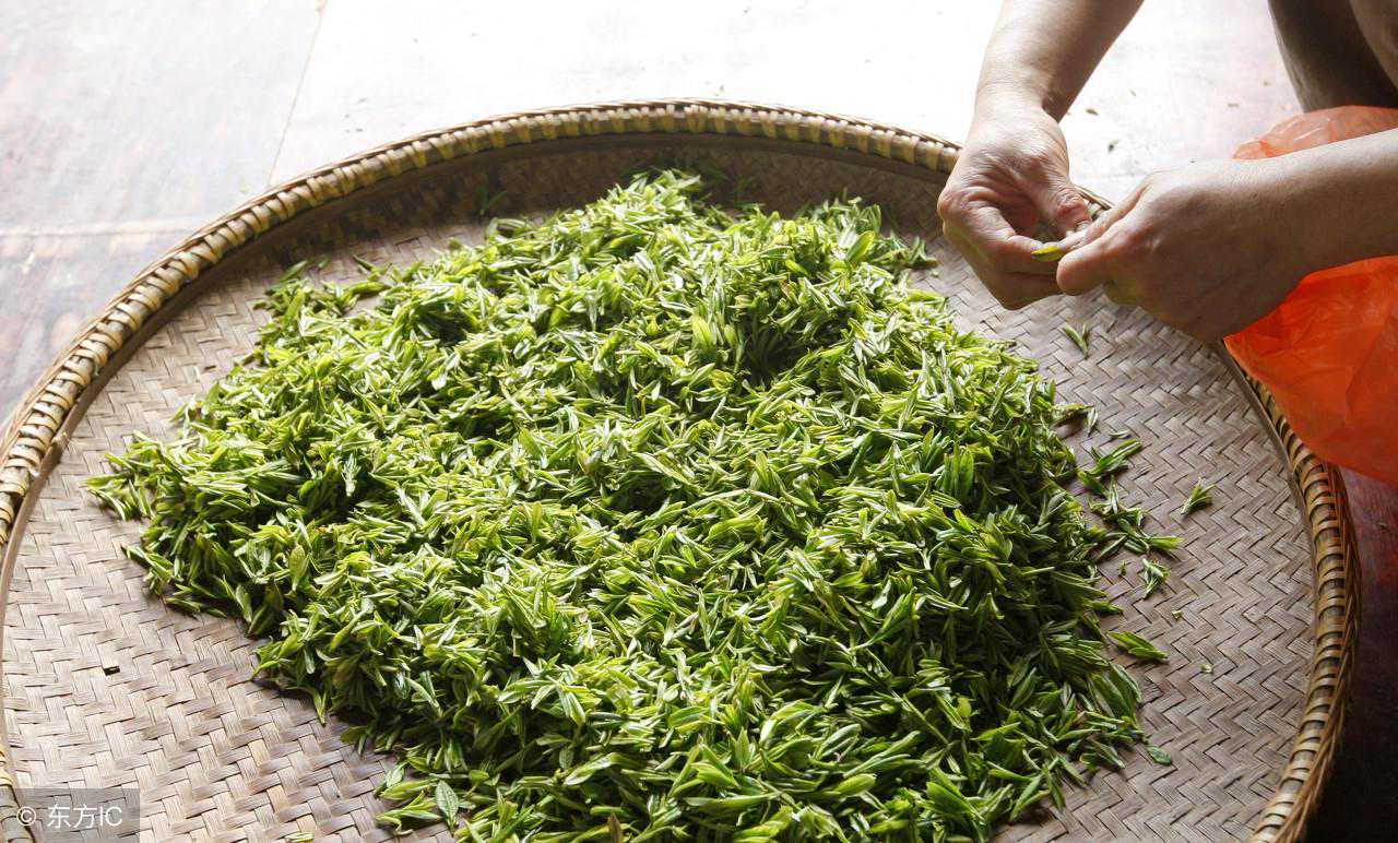 好茶是屯出来的，“囤茶”也是有讲究的！