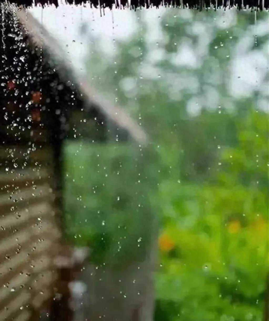 散文||春尾鸣声