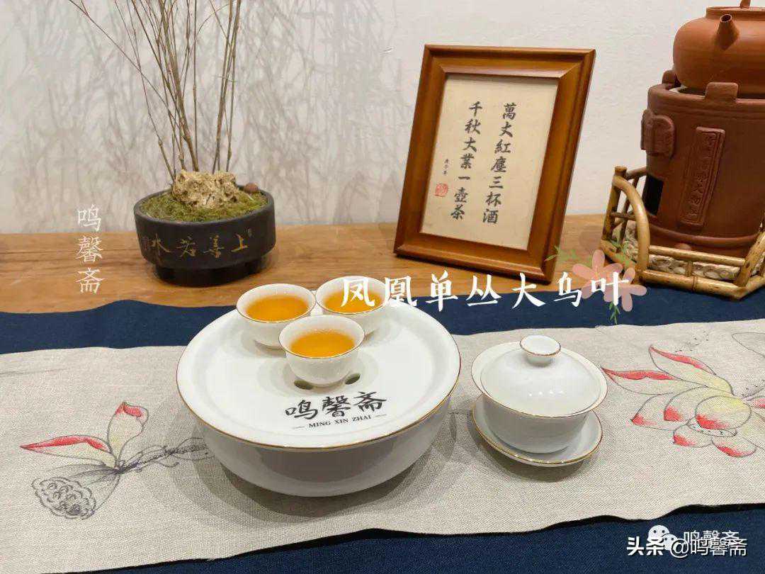 凤凰单丛茶——大乌叶