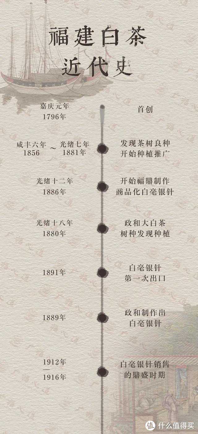 六大茶类通识：万字长文，一篇看懂：什么是白茶