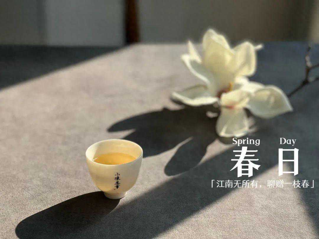 绿茶、红茶、白茶、岩茶，如何从叶底判断茶叶品质？记住这5点