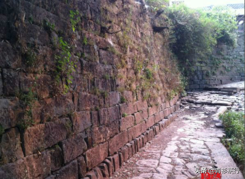 六大茶山之-倚邦