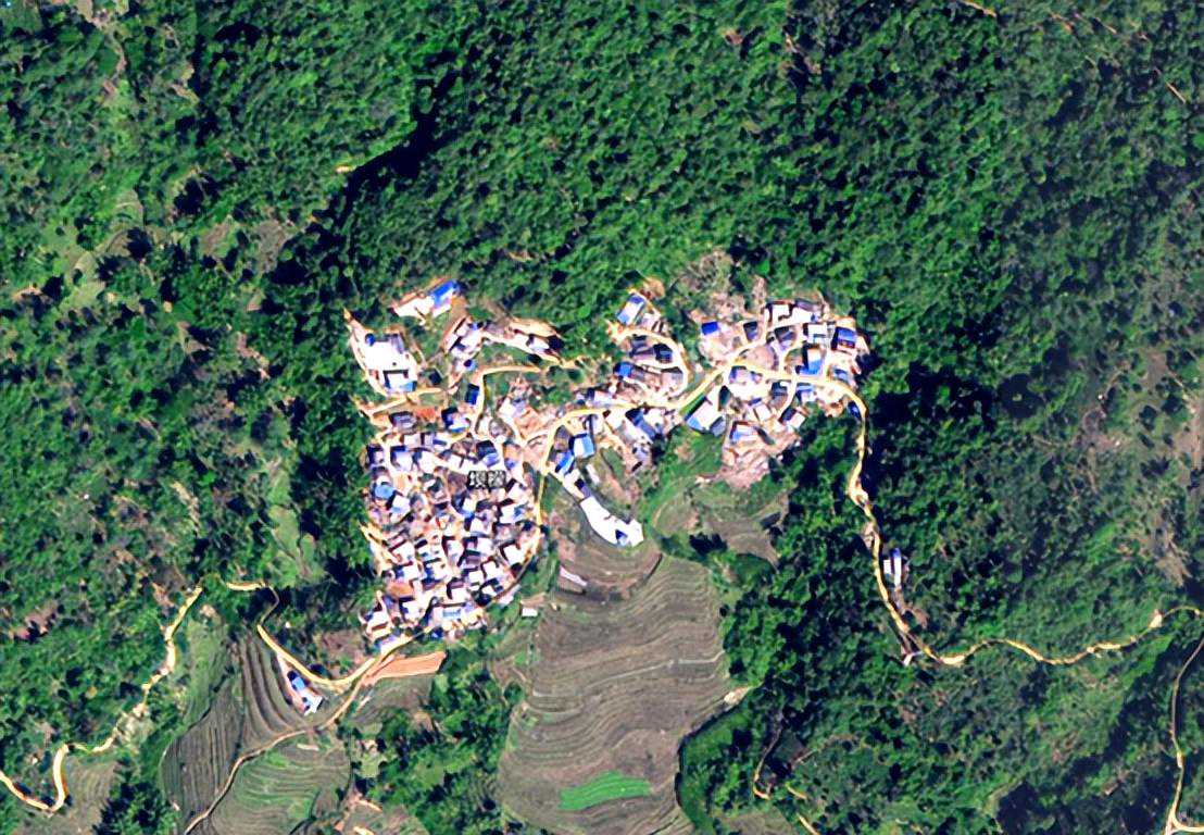 古树品鉴05：坝檬古树，苦涩弱，甜度高，茶气不强。