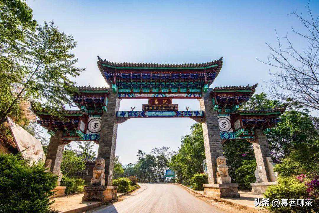 台湾人如何把易武茶炒起来的