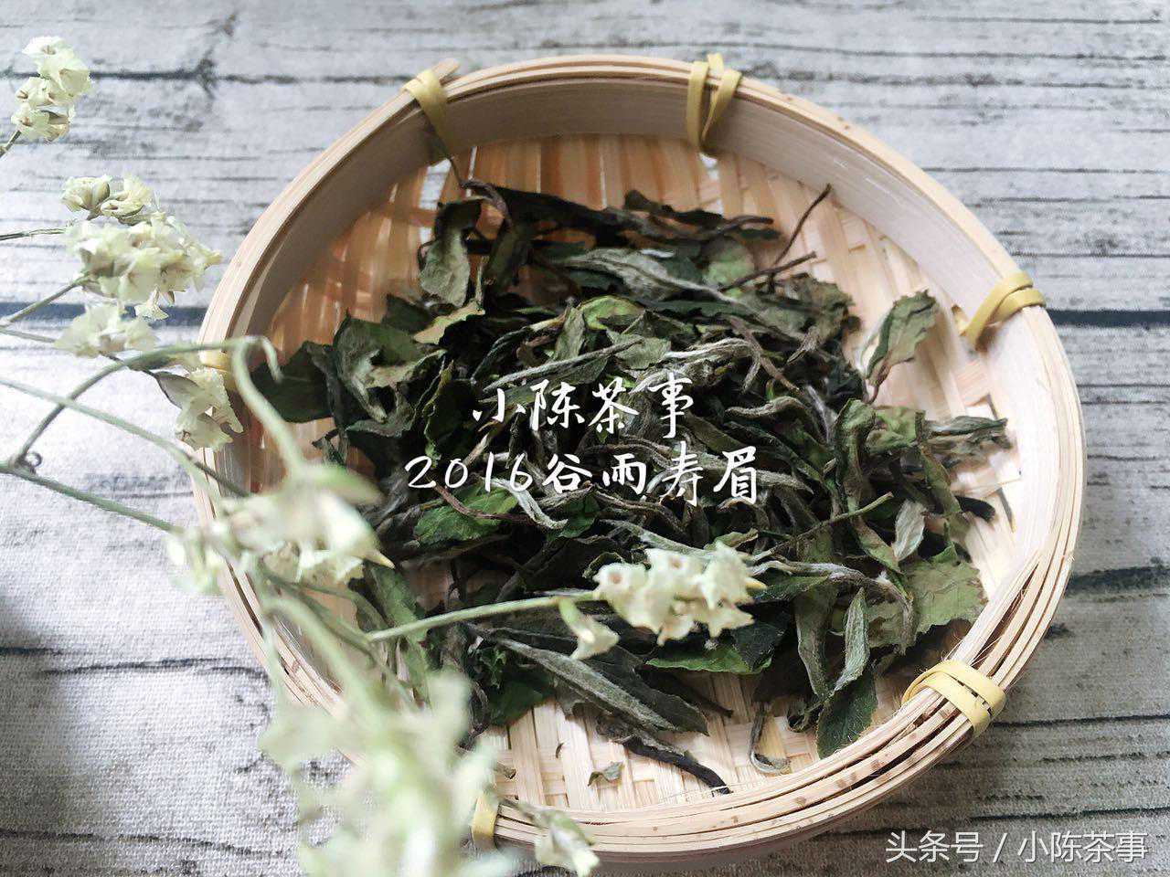 三大技能教您分辨春尾寿眉和秋季寿眉，快收藏！