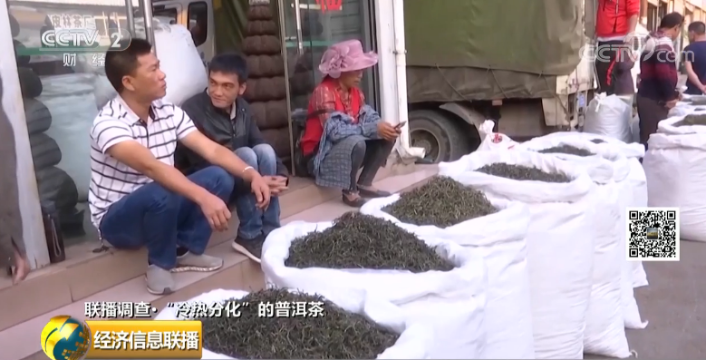 从300元涨到30000元，资本炒作炒高了茶价，炒枯了茶树！普洱茶何时才能回归本味？