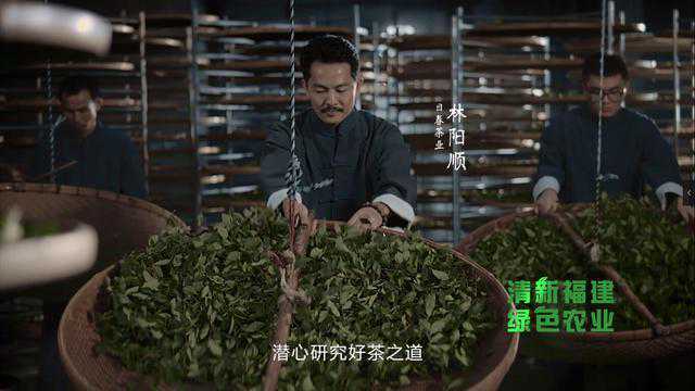 真品质 不二价｜日春茶业：有情有义做品牌