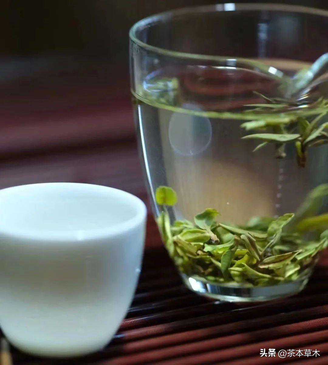 春茶一口鲜 ▏ 宝洪绿茶