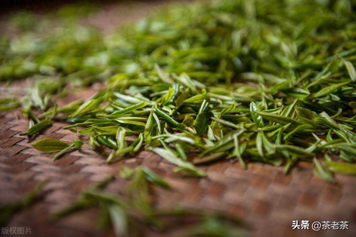 5分钟了解6大茶