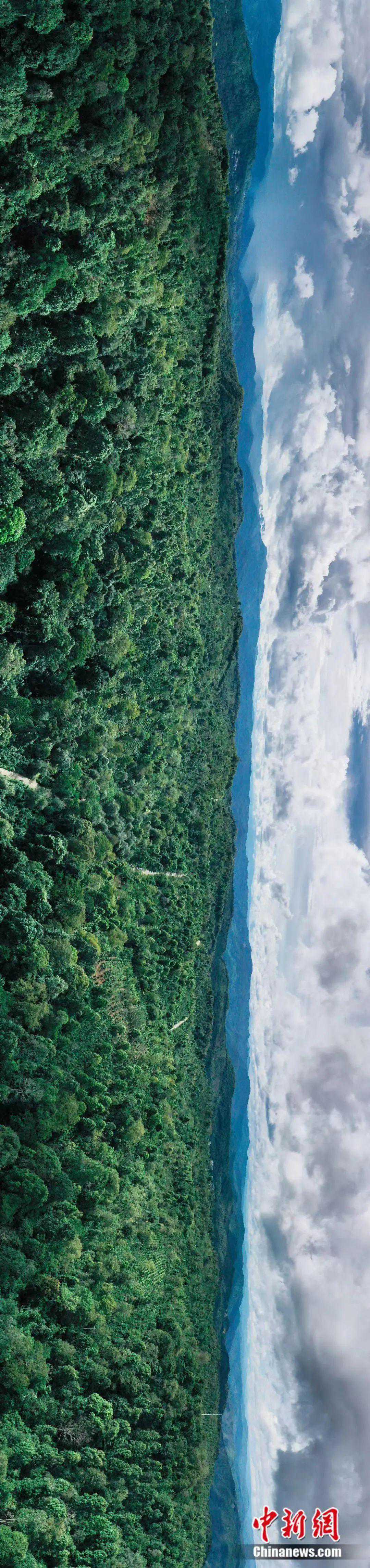 人这一辈子，一定要去一趟普洱！