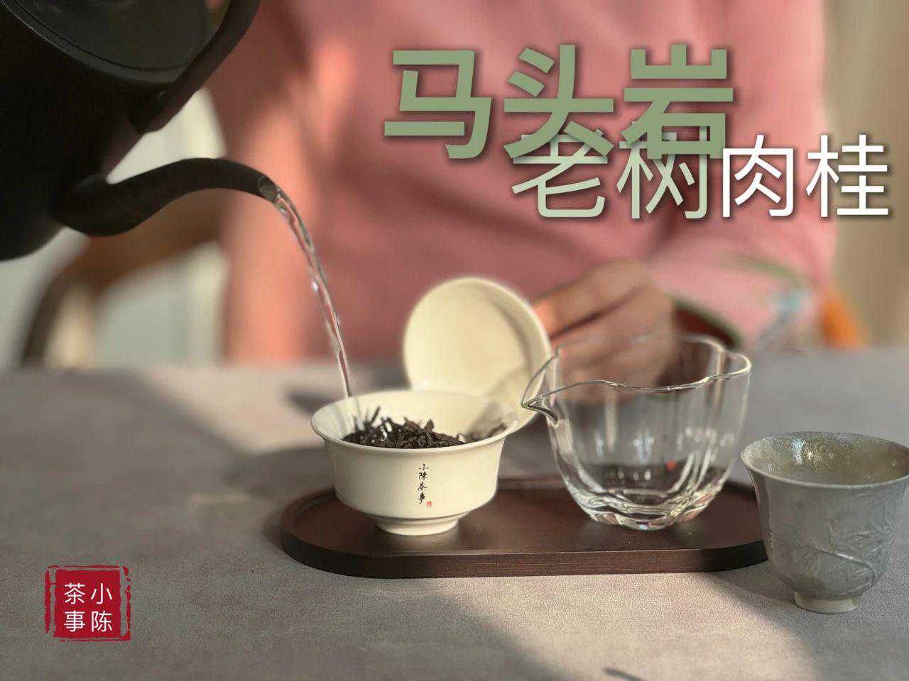 环壁注水vs定点注水，哪种方式能让茶叶更耐泡？新手适合哪种？