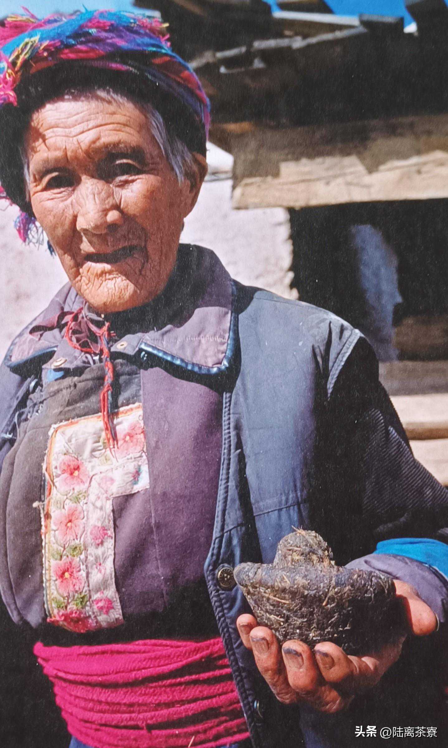 到底要怎么做，才能像老茶客一样闻香识白茶？记住3点就够了