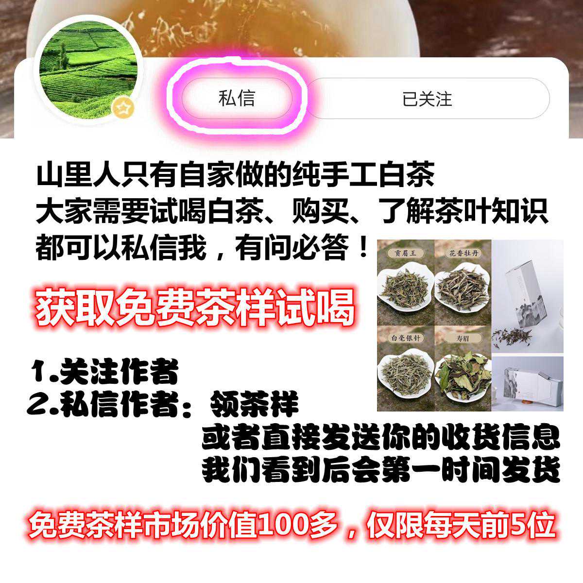福鼎大白茶，你了解多少？