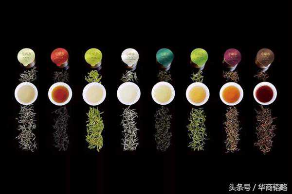 一家诞生1年多的企业，挽救了一个有着2000多年历史的行业？