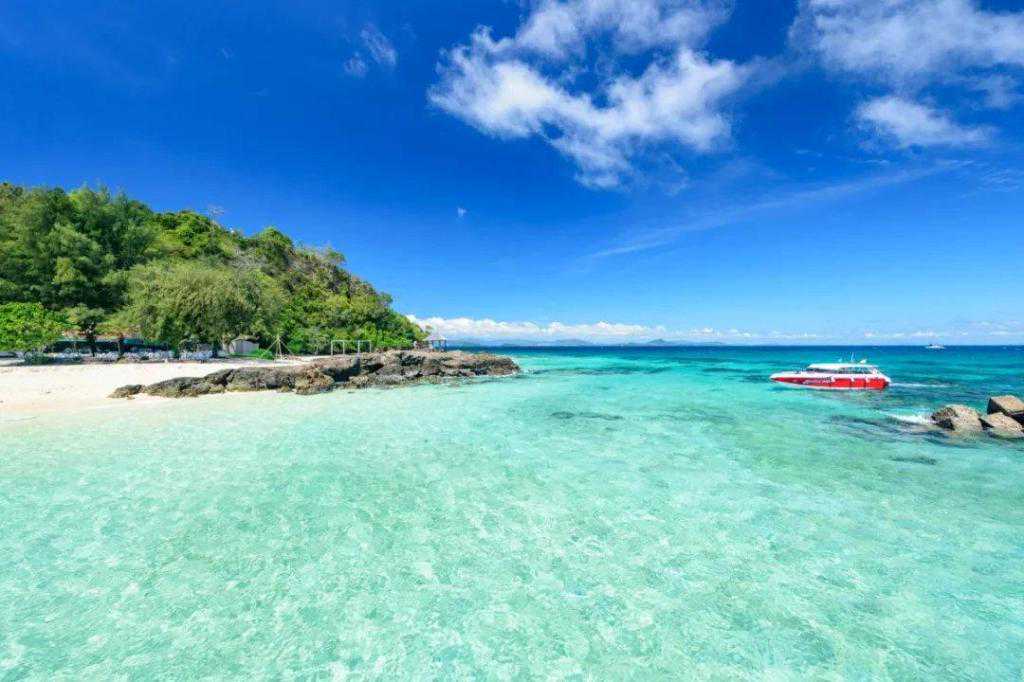 待城里的繁花盛开，待飞去的黄鹤再度归来，黄鹤楼，等你