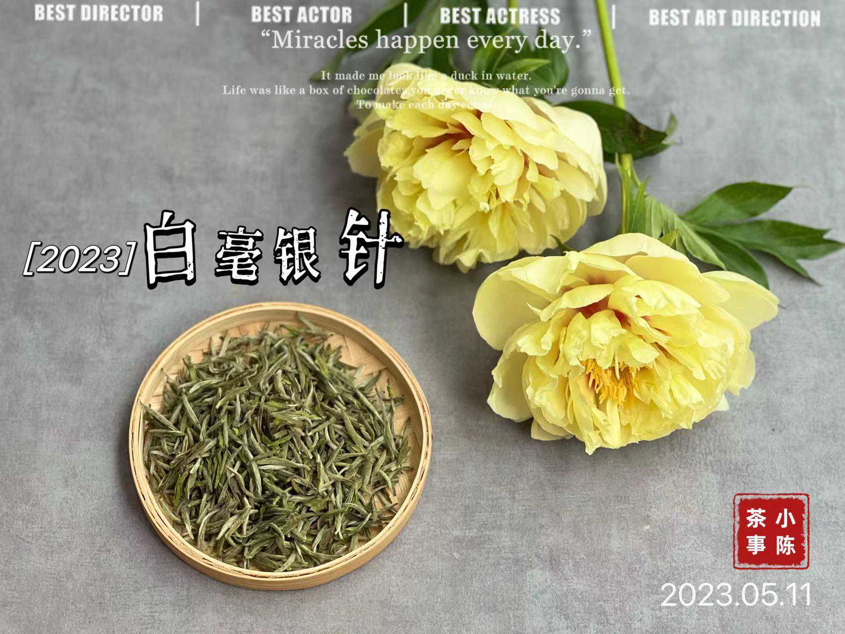 什么样的白茶比较耐泡？有没有一个标准，可以让新手买到好茶呢？