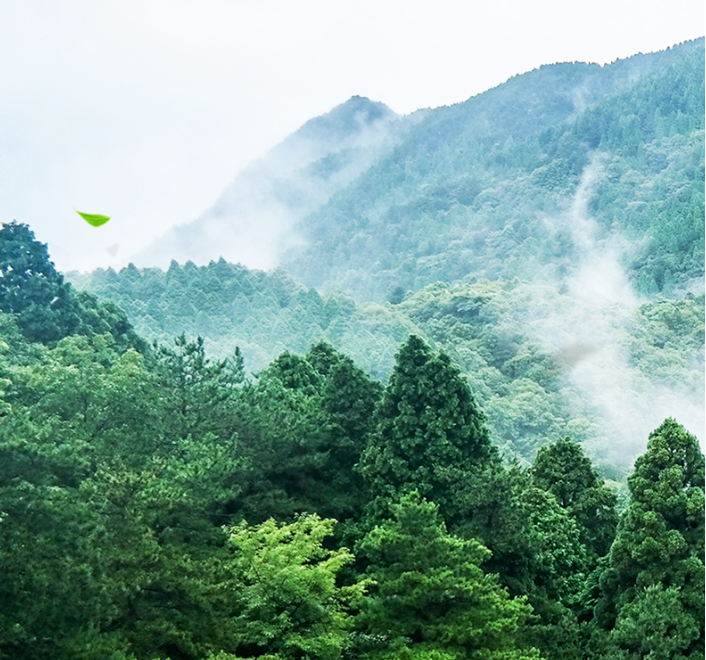 茶叶报价表除了价格是不是也应该加上产量？