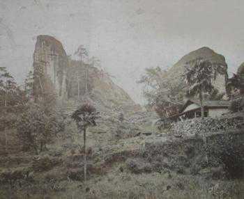 这些岩茶“功臣”，你不可不知