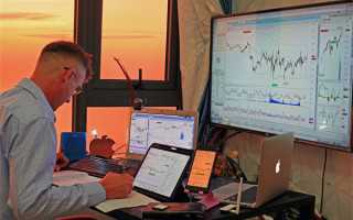 你了解洱茶中的“茶虫”吗？ 普洱茶的“茶虫