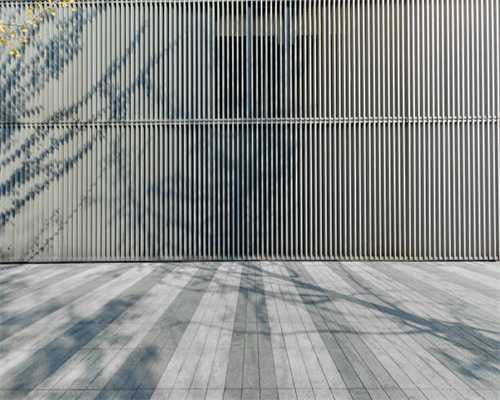 空腹可以喝茶么 空腹饮茶带来的伤害