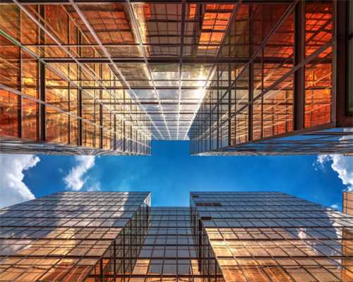 鹤峰：茶山银杏黄