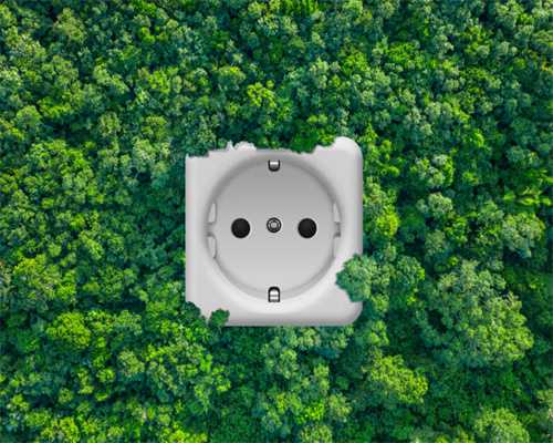 中国的红茶有哪些，你的家乡有红茶吗