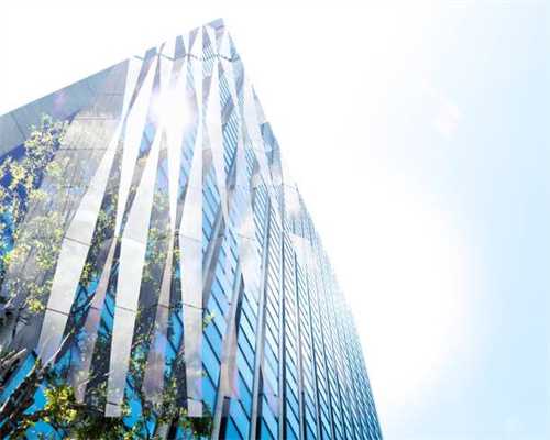 特丽莎香茶菜怎么养