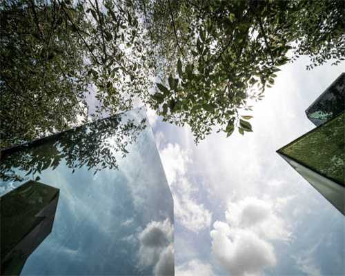 关注武夷山春茶长势！关于这条茶路的前世今生，你不得不知道的事